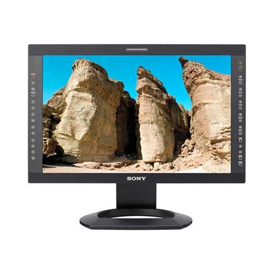 SONY LMD-2451W Monitor LCD de 24" 